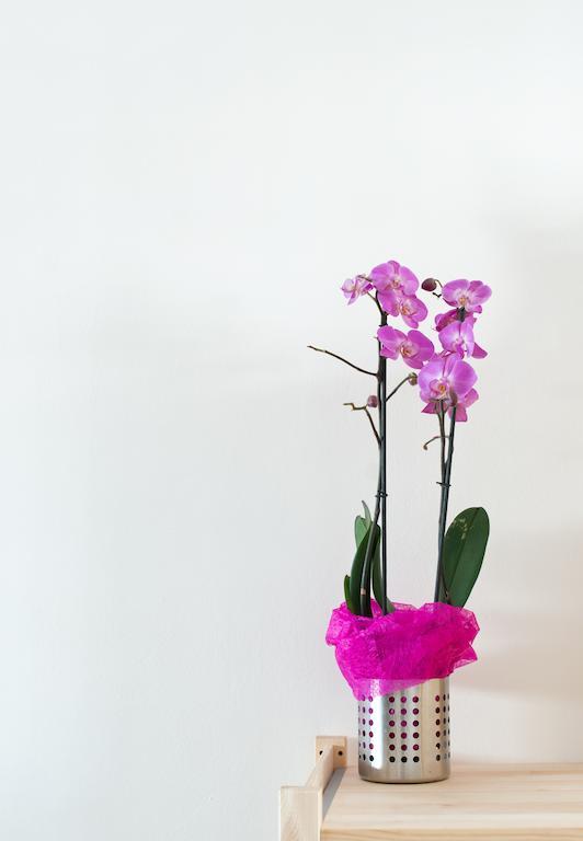B&B Feel At Home Fiumicino Ngoại thất bức ảnh